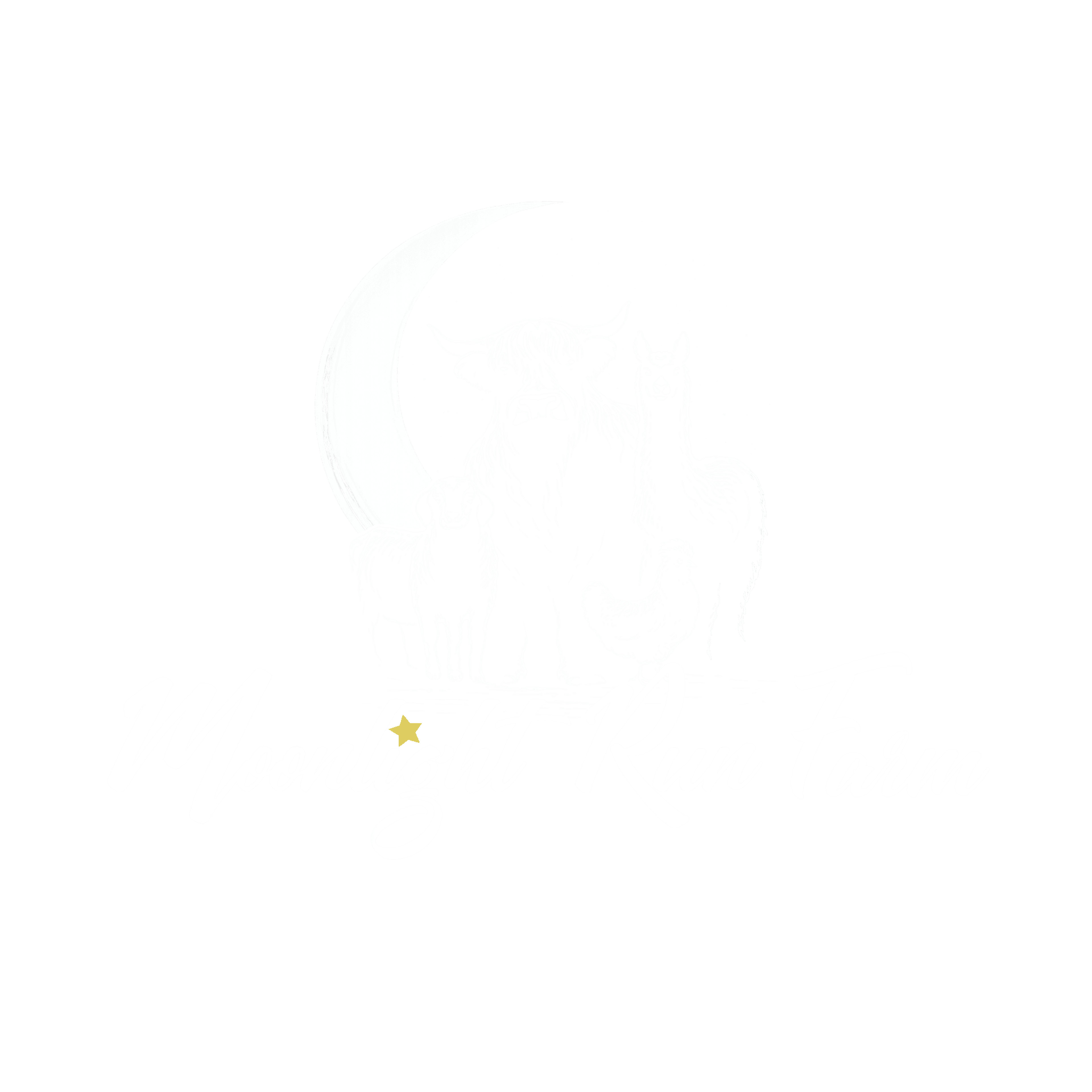 Moonlight Run Farm — Highland Cattle, Llama, Goat & Chicken under the moon